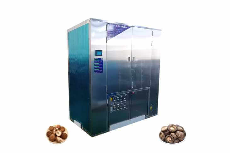 Vegetable Dryer Machine India, Vegetable Drying Machine-Henan Baixin  Machinery